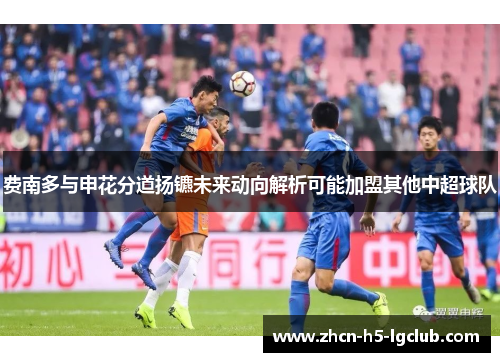 费南多与申花分道扬镳未来动向解析可能加盟其他中超球队